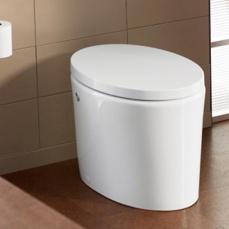 Η τουαλέτα είναι ωοειδής