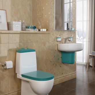Turquoise toilet