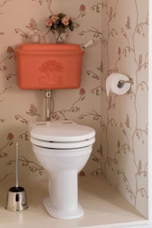 Retro farget toalett