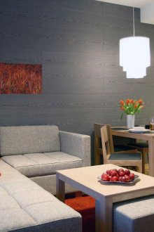 Γκρι γωνιακός καναπές σε διαμέρισμα στούντιο