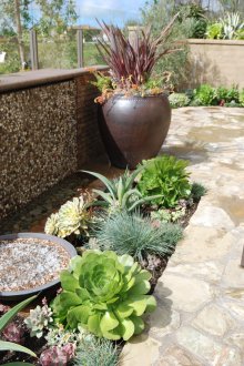 Εξωραϊσμός με Succulents