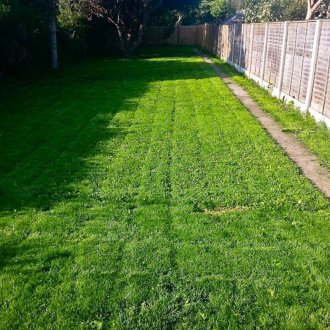 Κυλιόμενο γρασίδι στην αυλή