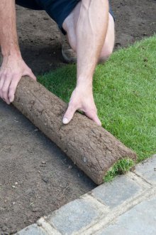 Τυλιγμένο φυσικό γκαζόν