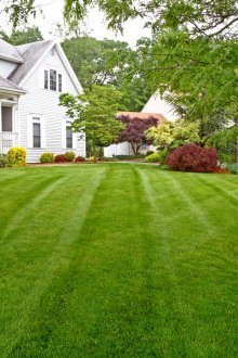 Κοπή γκαζόν