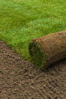 Roll χλοοτάπητα