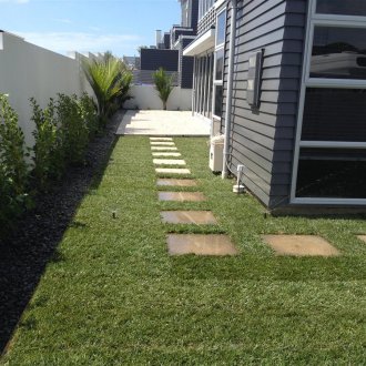 Φροντίδα γκαζόν