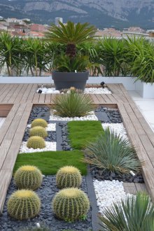 Cactus flowerbed στο εξοχικό σπίτι