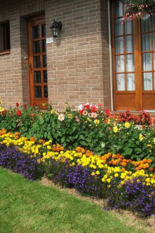 Ανθοπωλείο πολυετών λουλουδιών στη χώρα