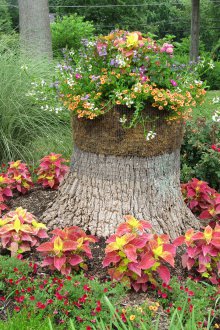 Ένα κρεβάτι από κορμούς στη χώρα