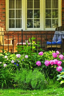 Λουλούδι με παιώνιες στη χώρα