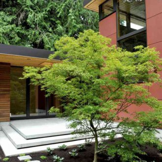 Κήπος σε ιαπωνικό στιλ στη χώρα