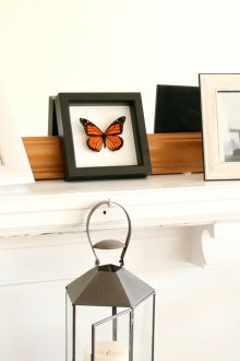 Διακοσμητική πεταλούδα στο τζάκι