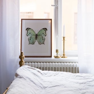 Πεταλούδα σε μια φωτογραφία στο εσωτερικό