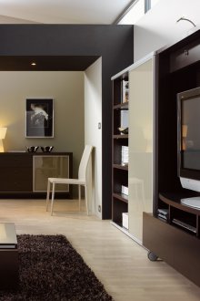 Τείχος της wenge στο σαλόνι