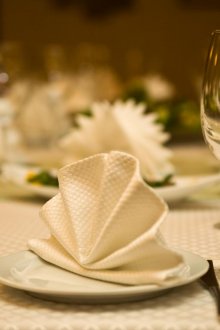 Ρύθμιση πίνακα με χαρτοπετσέτες