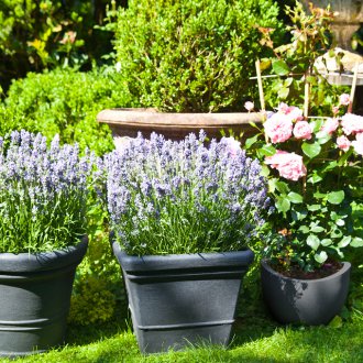 Λουλούδια σε γλάστρες στον κήπο