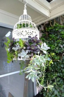 Κρεμαστά γλάστρες στον κήπο