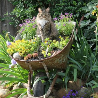 Τραπέζι στον κήπο
