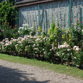 Περπατήστε κατά μήκος του φράχτη