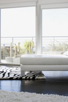 Zebra Τυπωμένο χαλί για χώρο ανάπαυσης