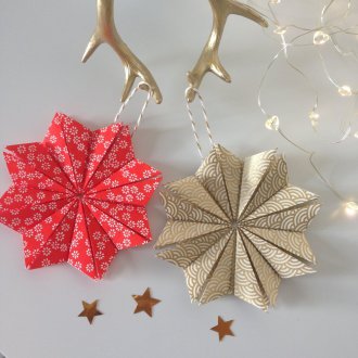 Χριστουγεννιάτικα λουλούδια