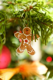 Χριστούγεννα μελόψωμο