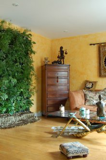 Ινδική διακόσμηση τοίχου τοίχου