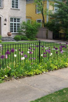 Σφυρηλατημένο φράχτη