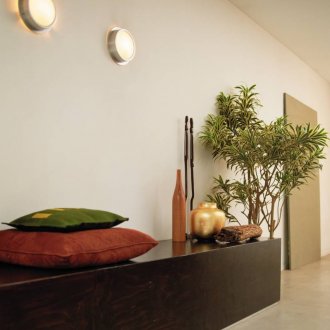 Dracaena στο διάδρομο