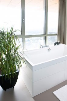 Dracaena στο μπάνιο