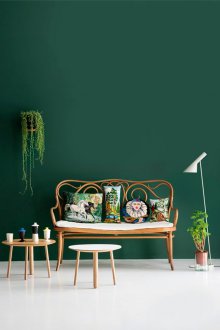 Πράσινο τοίχο στο εσωτερικό