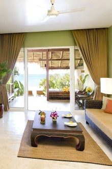 Χρώμα ελιάς σε τροπικό εσωτερικό