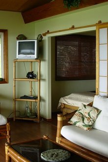 Ανατολικό χρώμα ελιάς