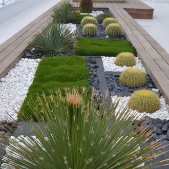 Διακοσμητικά κάκτοι στον κήπο