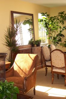 Εσωτερικά φυτά στο σαλόνι