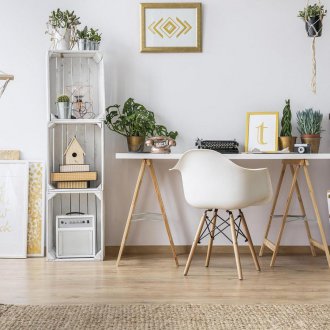 Εσωτερικά φυτά στο γραφείο