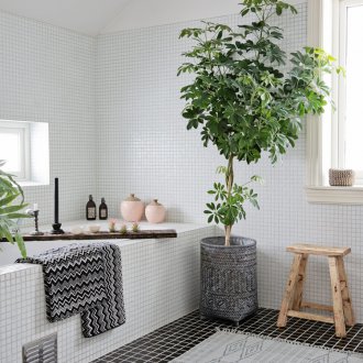 Σέφερ στο μπάνιο