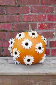Citrouille d'Halloween avec des fleurs