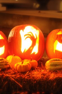 Απόκριες κολοκύθα ρύθμιση