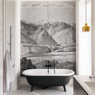 Συνδυασμένο μπάνιο με φωτογραφία ταπετσαρία