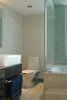 Wenge συνδυασμένο μπάνιο