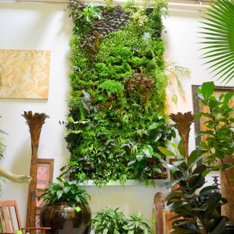 Ογκομετρική εικόνα με πράσινο