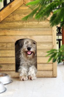 Ξύλινο σκυλάκι