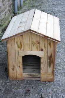 Διοικητικό Συμβούλιο για το σκυλί από τα διοικητικά συμβούλια