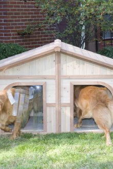 Περίπτερο για δύο σκυλιά