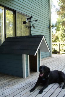 Περίπτερο σκύλου με πτερύγιο καιρού