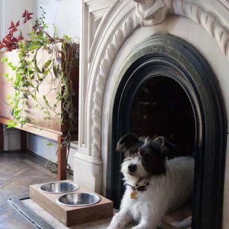 Κουτί σκυλιών τζάκι