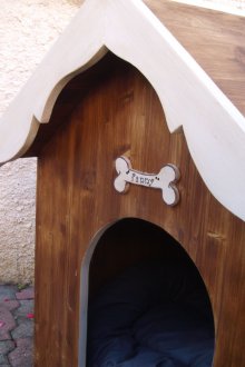 Κουτί σκυλιών χρωματισμένο