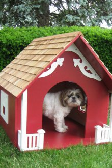 Κουτάκι σκύλου κόκκινο