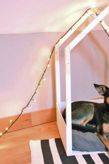 Σκύλος κρεβάτι